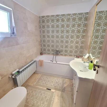 Petit Paris City Center Romexpo Therme Herastrau Apartment Bukarest